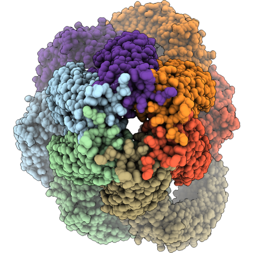 9T5M image