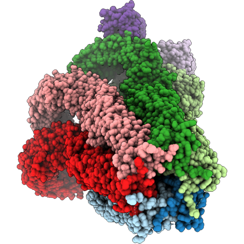 9T5N image