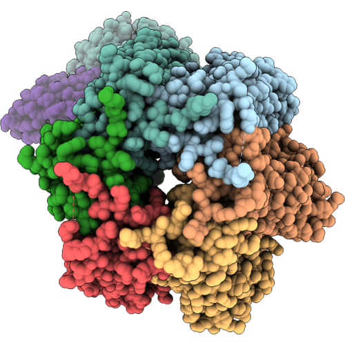 9T5P image