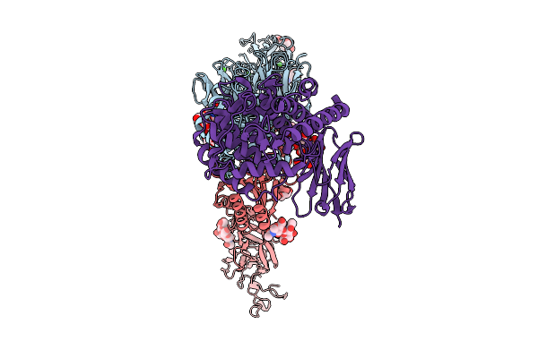 9T5V image