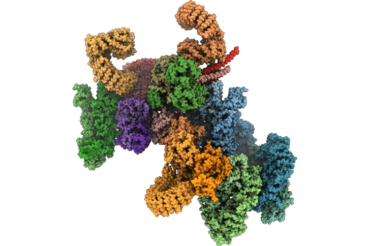 9T63 image