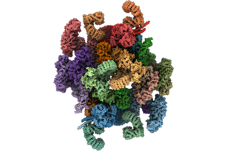 9T64 image
