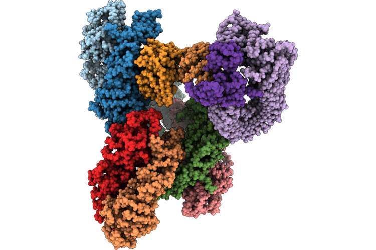 9T65 image