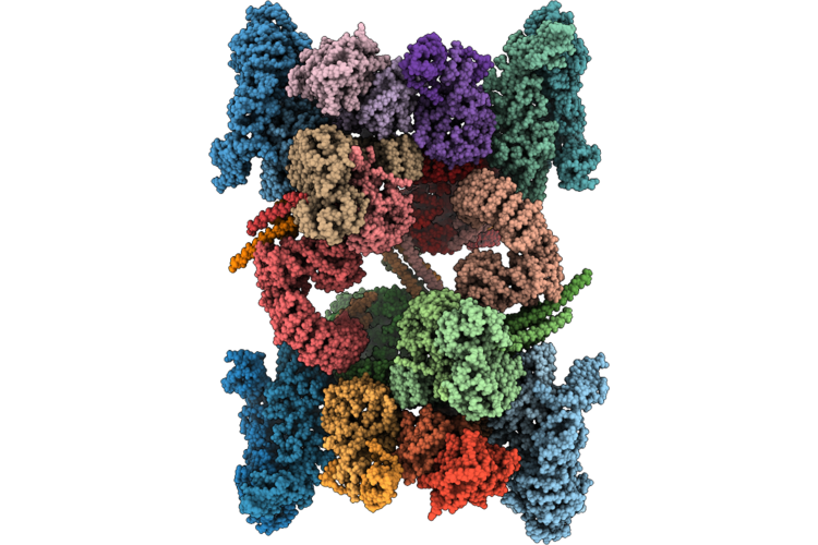 9T66 image