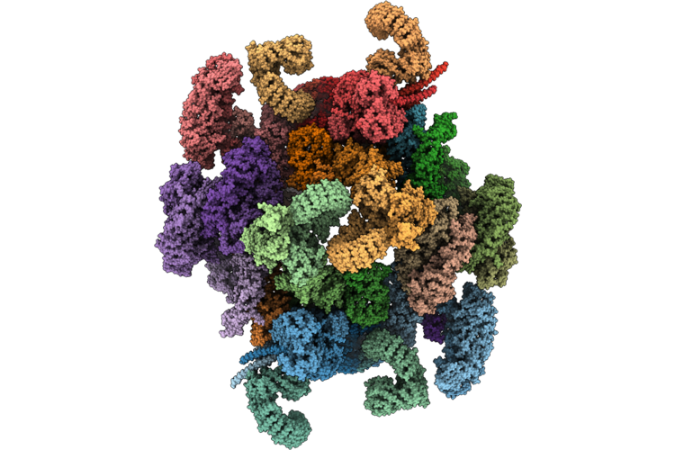 9T67 image