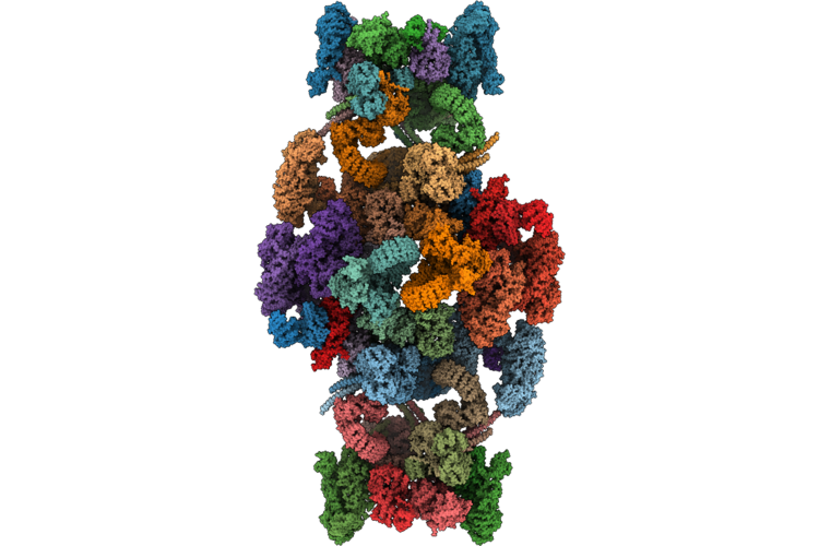 9T68 image