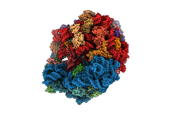 9T6M image