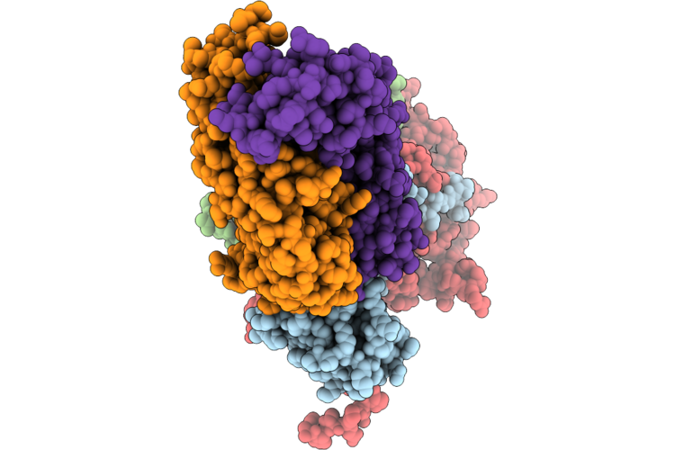 9T6Z image