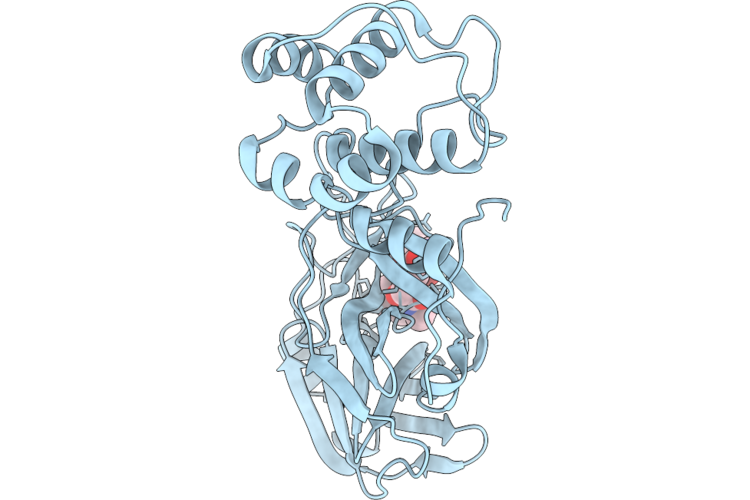 9T72 image