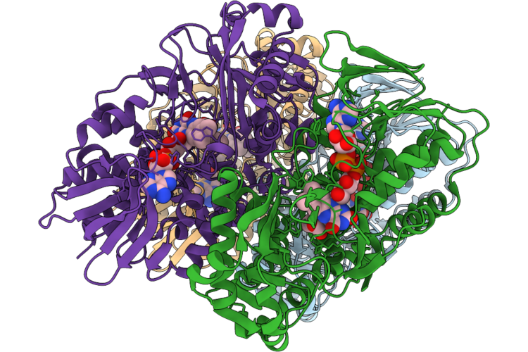 9T73 image