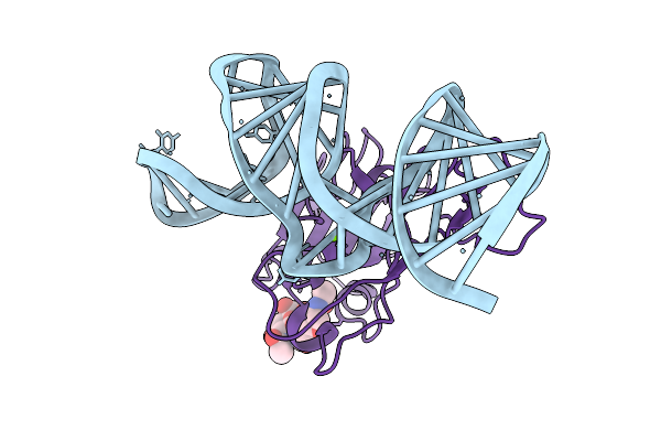 9T74 image