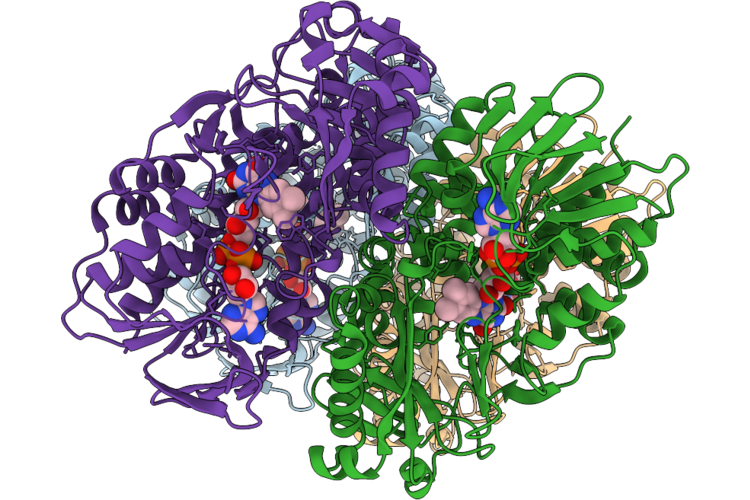 9T75 image