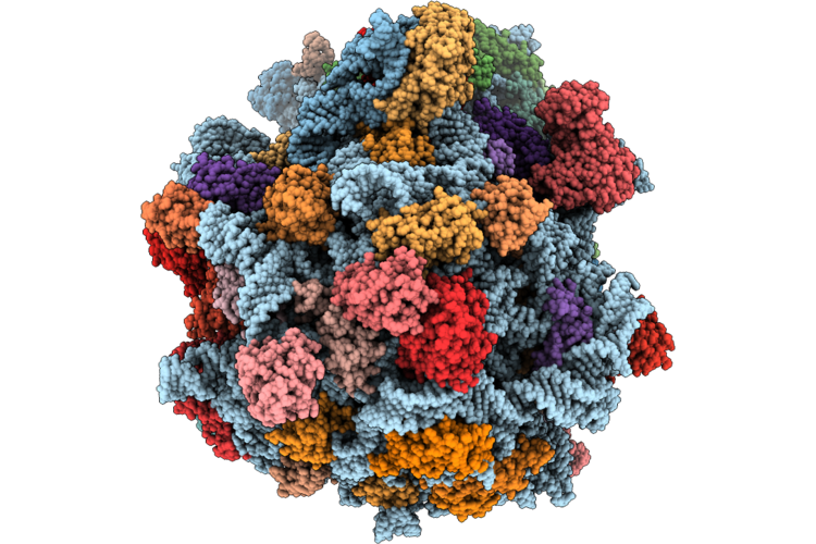 9T7H image