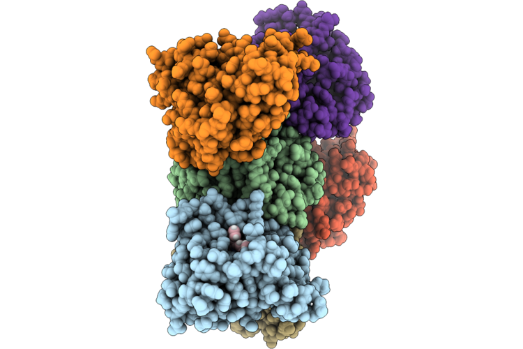 9T8A image