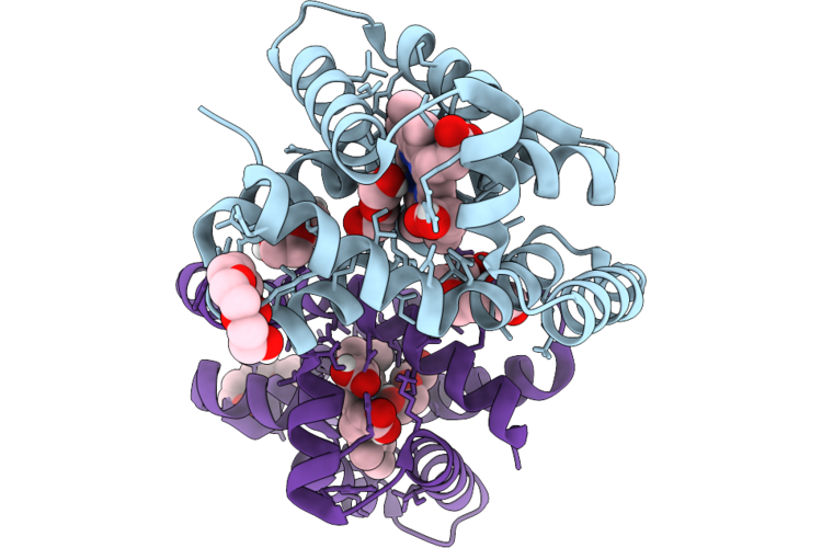 9T8B image