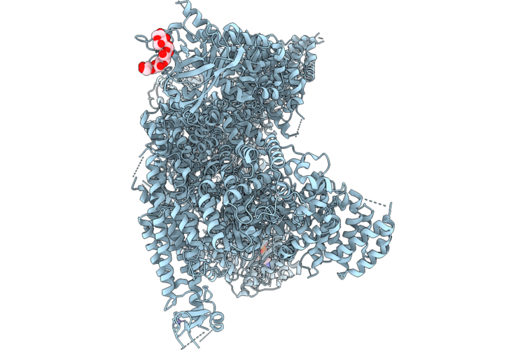 9T8H image