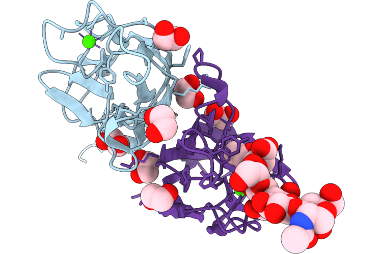 9T91 image