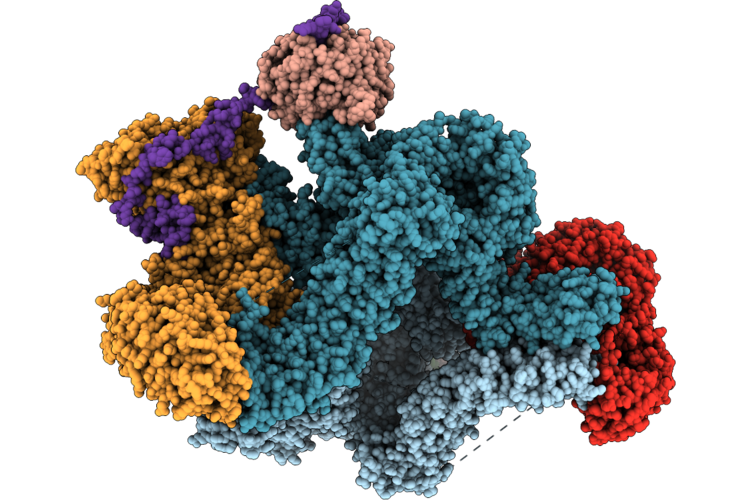 9T92 image