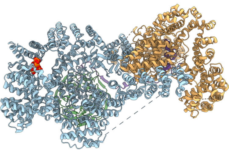 9T93 image