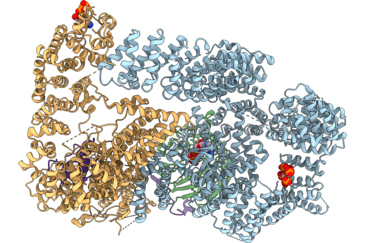 9T94 image