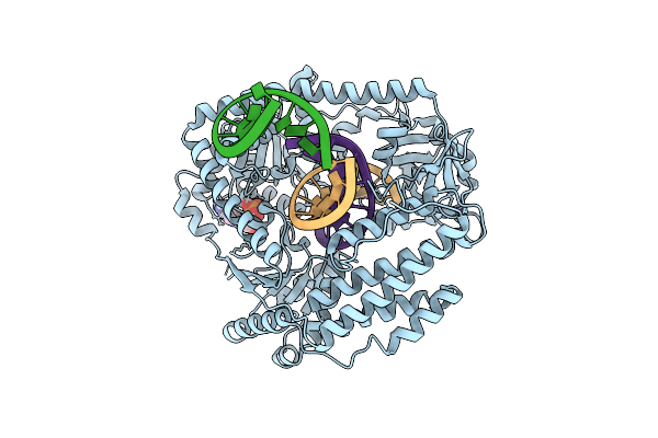 9T99 image