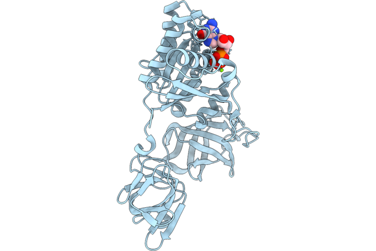 9T9C image