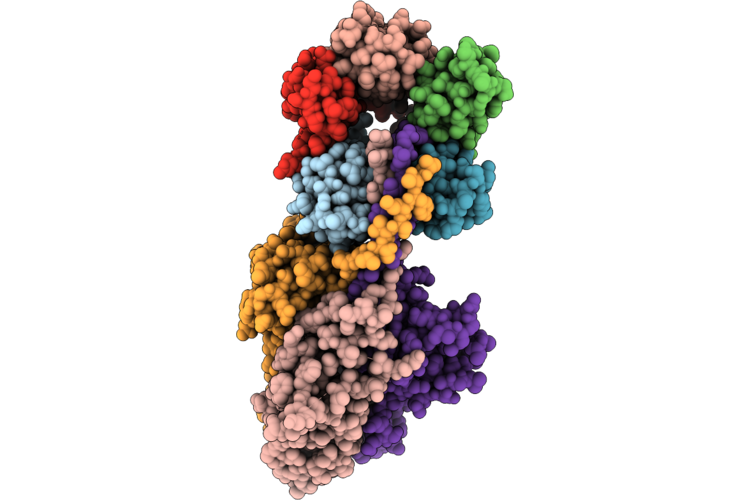9T9R image