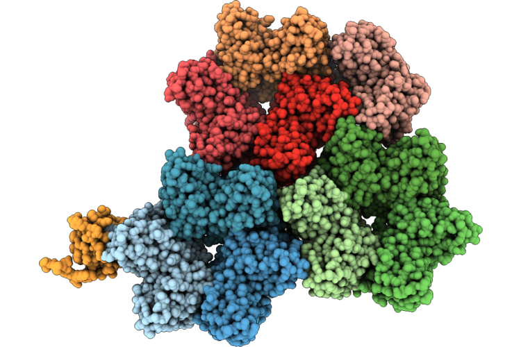 9T9V image