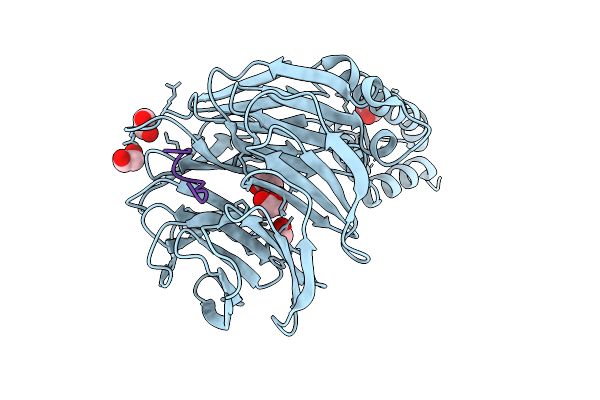 9T9W image
