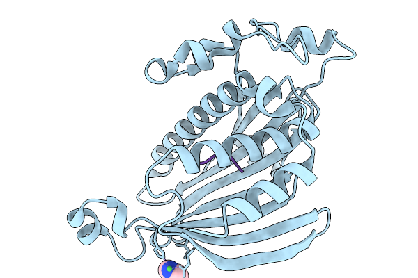 9TA5 image
