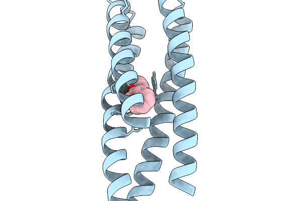 9TAU image