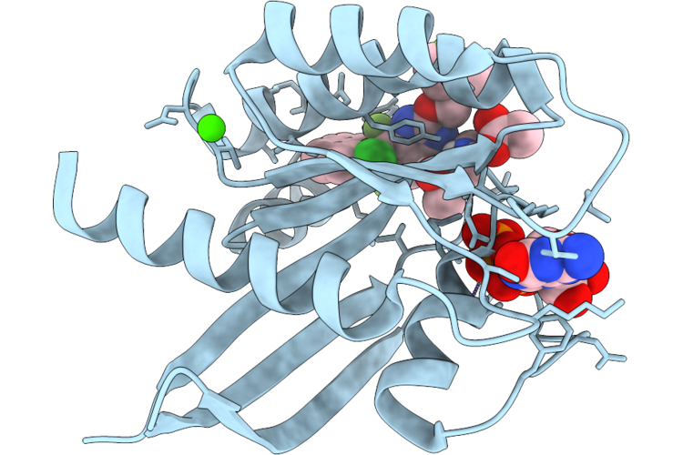 9TC2 image