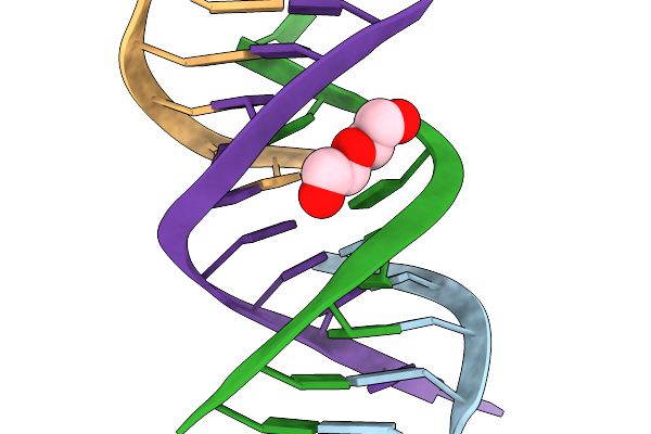 9TCA image