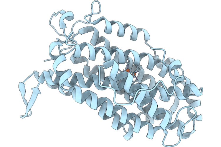 9TCD image