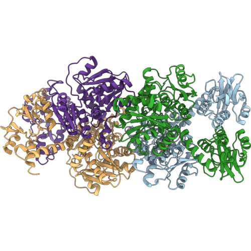 9TCF image