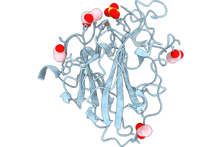 9TCV image