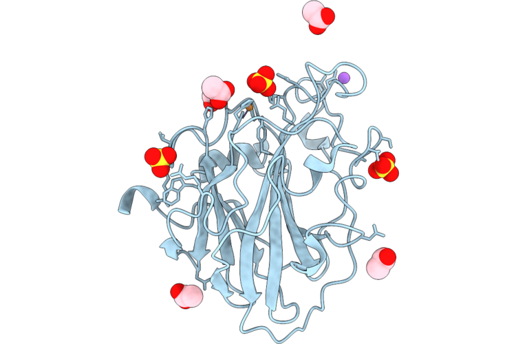 9TCX image