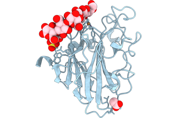 9TCZ image
