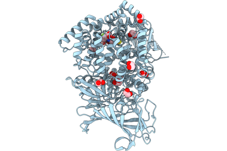 9TDA image
