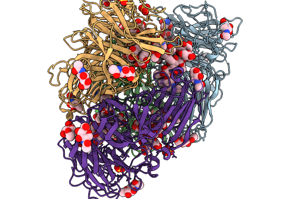 9TDV image