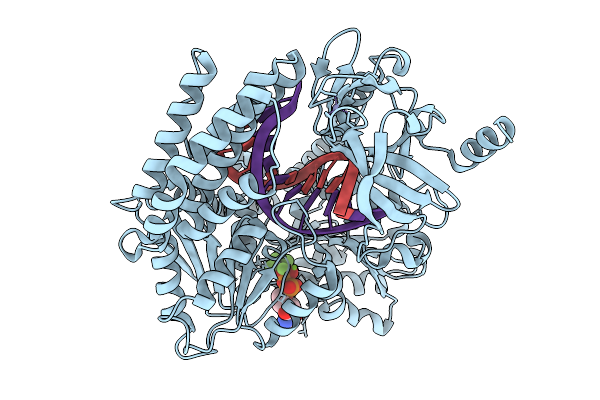 9TEL image