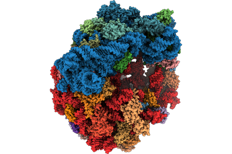 9TEX image