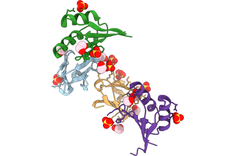 9TFS image