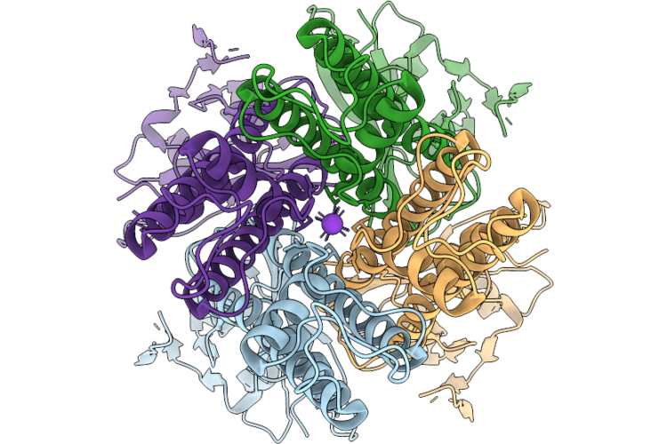 9TG3 image
