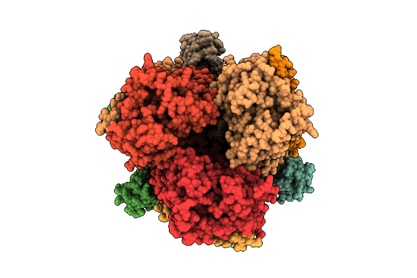 9TG4 image
