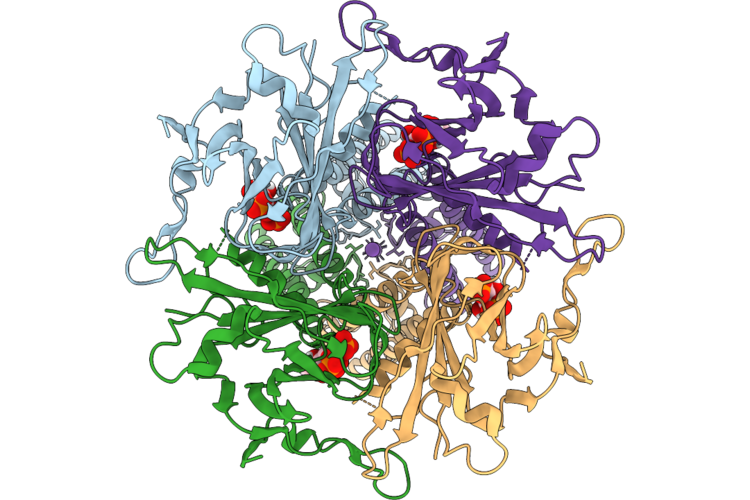 9TG6 image