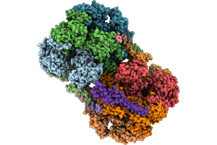 9TGM image