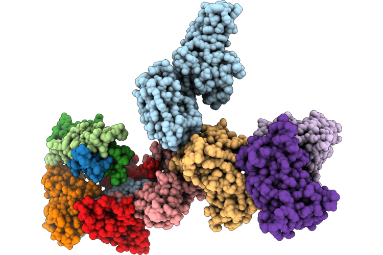 9TII image