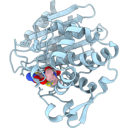 9TLD image