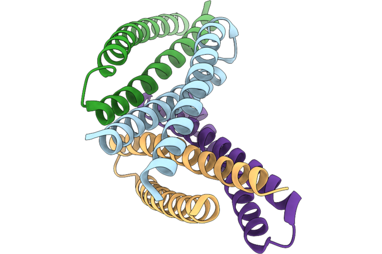 9TLP image
